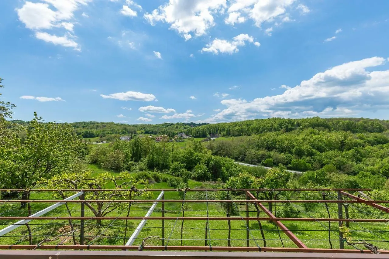 Apartment Aurel Pazin